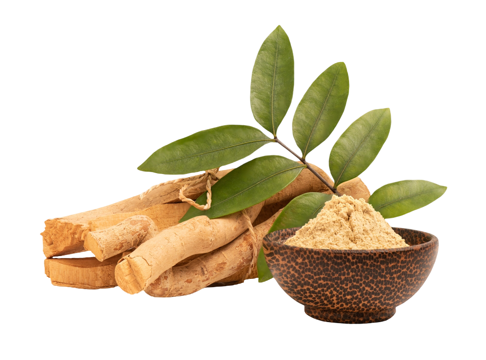 Ayurvedic healing ingredients with turmeric and herbal leaves used at Vydyans Ayurveda clinic in Kerala