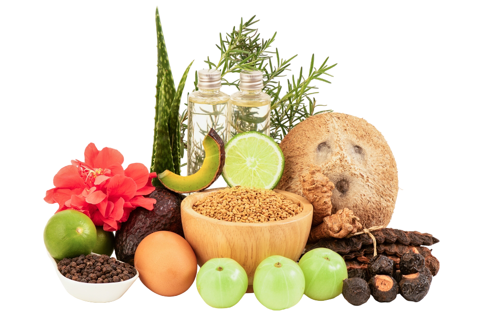 ayurveda-herbs-natural-remedies-vydyans Herbal ingredients, roots, leaves, and traditional vessels used in natural healing at Vydyans Ayurveda Clinic